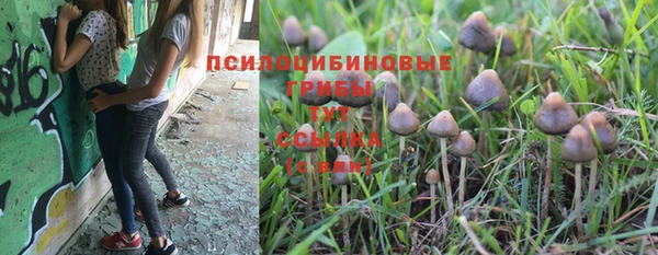 2c-b Арсеньев